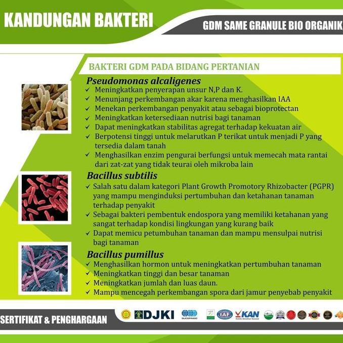 Granule Bio Organik GDM SAME Pupuk Padat Tanaman