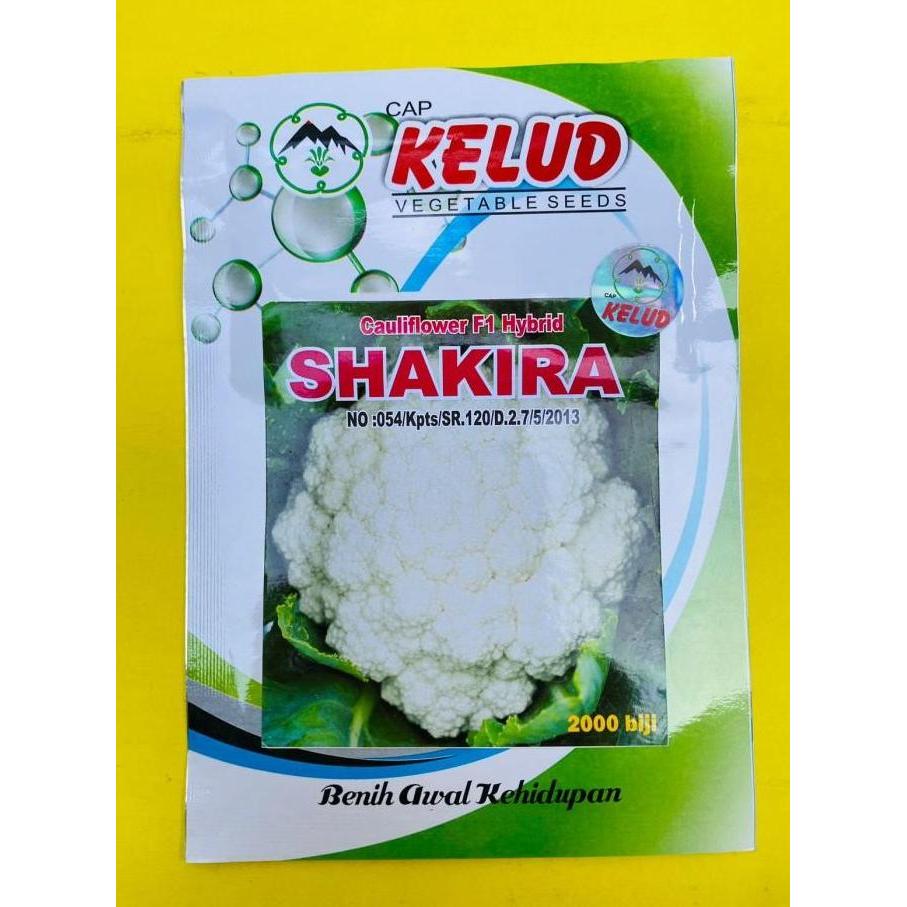 Terlaris Benih Bunga Kol Shakira Isi 10Gr Dr Cap Kelud
