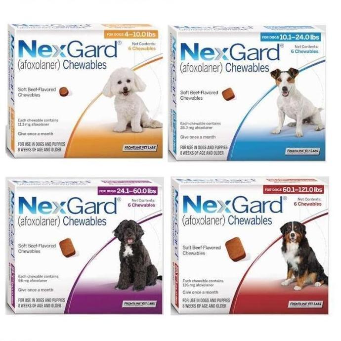 dmenleo - kutu anjing dan demodex nexgard dog s / m / l / xl | nexgard tablet anti kutu & demodex an
