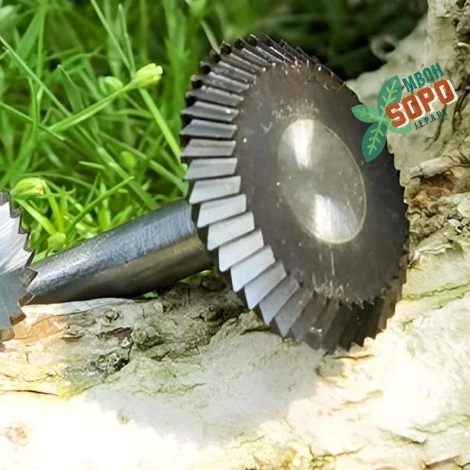 Alat Bonsai, Mata Bor Ukir, Mata Bor Jin As 6mm, Untuk nge'Jin batang bonsai