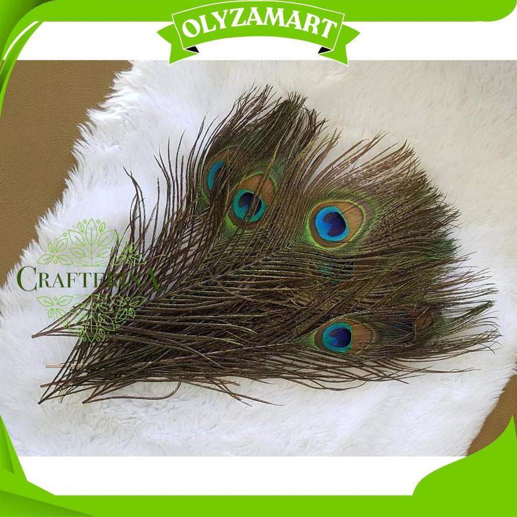 Replika Bulu Merak Sintetis Halus Imitasi / Kerajinan Replika Bulu Hewan Burung Merak C Ori