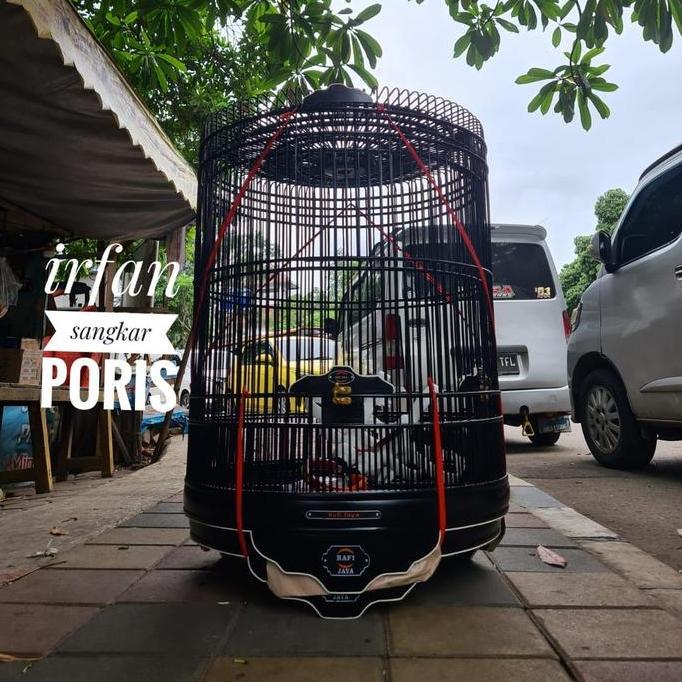 sangkar murai rafi Jaya reborn no3