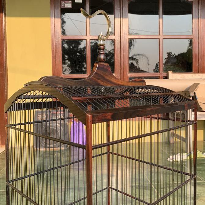 sangkar sonokeling sangkar kotak