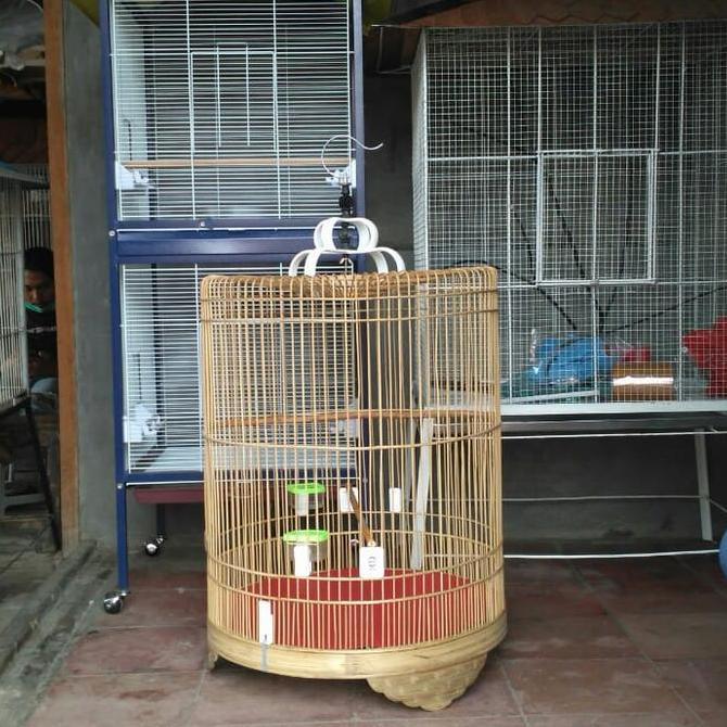 TERBARU - Kandang burung murai mentahan no 2 kandang halus full set