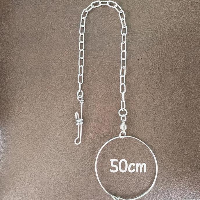 Rantai Burung Parrot Macaw + Ring kaki Omega