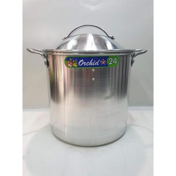 LANGSENG ORCHID (22 CM) I LANGSENG ANGKAT ORCHID I DANDANG ANGKAT