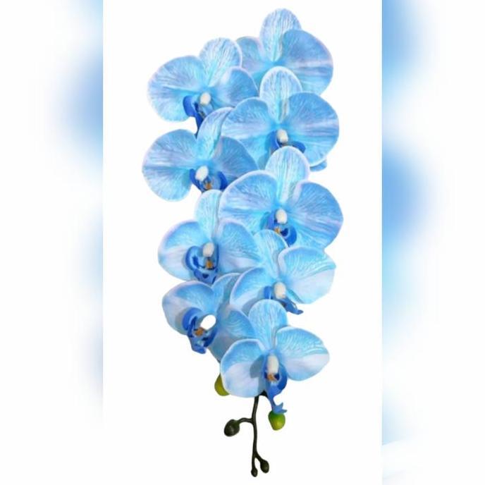 Promo Bunga Anggrek Artificial Latex Import Premium - Biru COD