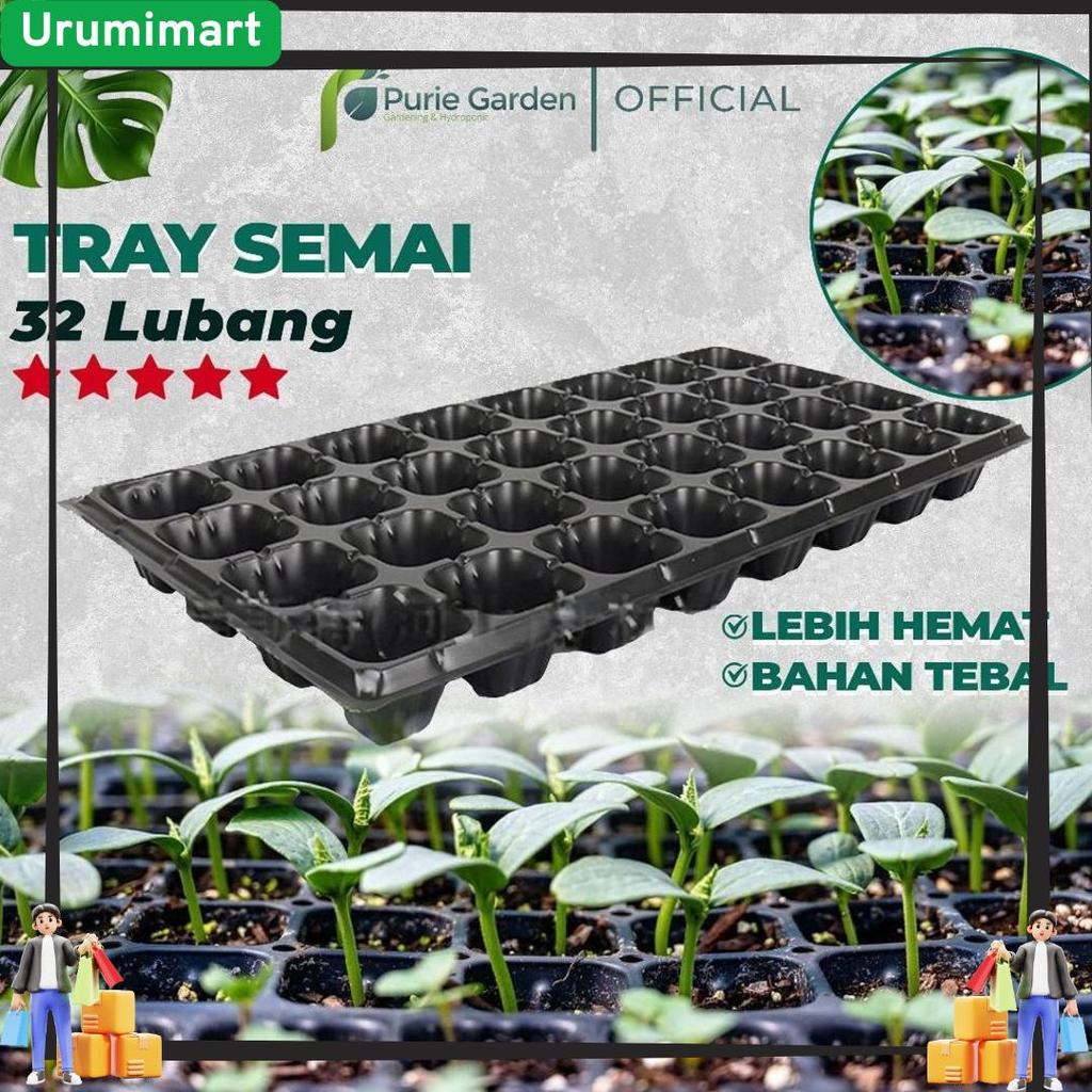 Tray Semai 32 Lubang Pot Tray Penyemaian Bibit Tanaman COD