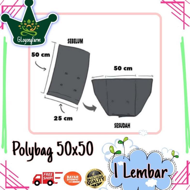 Bisa Cod Polybag 50X50 Tebal Tidak Berbau ,,