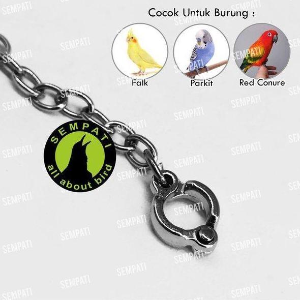 Sempati Rantai Burung Falk Ring Borgol Import 6 Mm Rantai Ff Umbaran Free Flying Rantai Gelang Kaki 