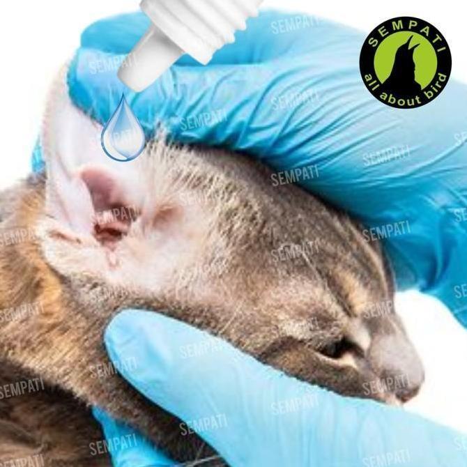 Ear Cleans 15ml Obat Tetes Telinga Kucing Cat Kitten Adult Anabul Cairan Pembersih Penghilang Kotora