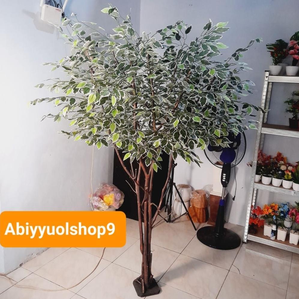 NEW ARRIVAL Tanaman Hias Artificial Beringin Varigata BERCABANG TANPA POT | Pohon Hias Artificial Ri