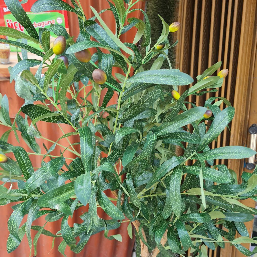 Tanaman Hias Artificial Besar Pohon Zaitun Plastik Pot Nordic