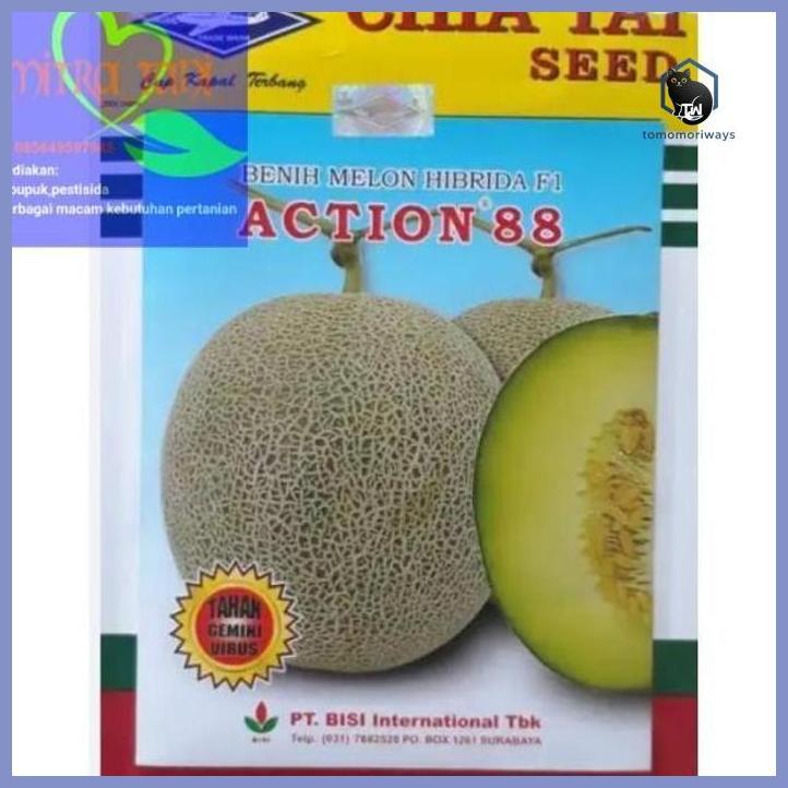BENIH MELON HIBRIDA ACTION 88 ISI -+550BUTIR DARI CAP KAPAL TERBANG TAMAN TANAMANA BIBIT PEKARANGAN 