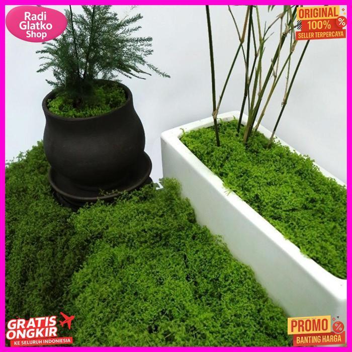 Premium 100G Rumput Sintetis Aquascape Aquarium/Rumput Sintetis Karpet Dasar Aquarium/Tawetan Tahan 