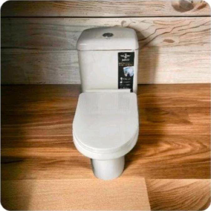 Kloset Duduk Toilet Duduk Anak