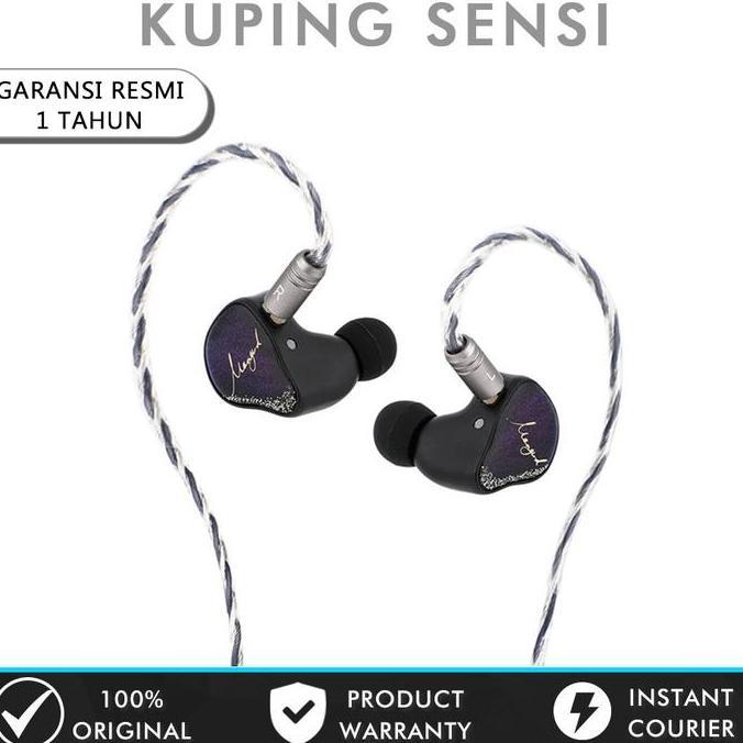 XENNS Mangird Tea Pro Precision Tuning 2DD+6BA Hybrid In Ear Monitor Earphone