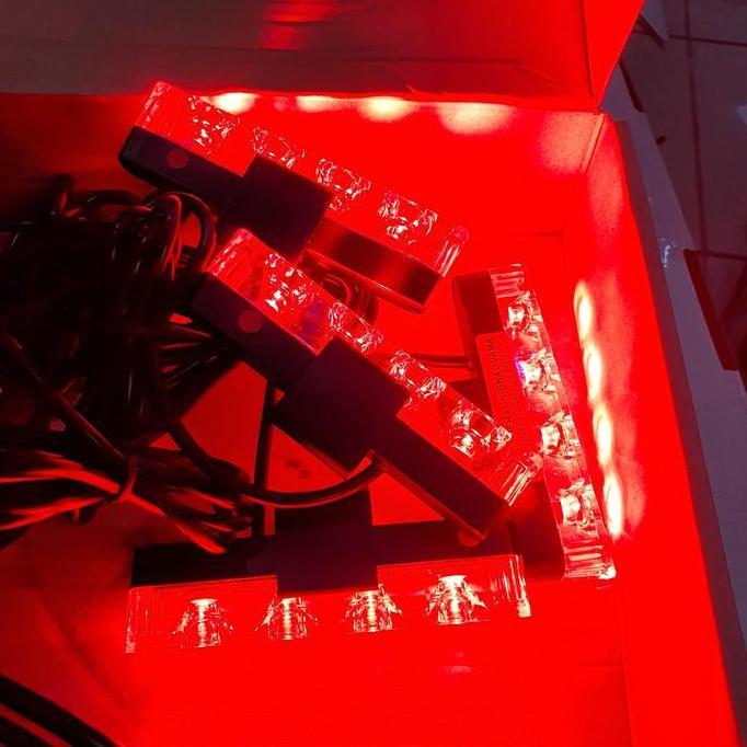 AMARILLYS strobo grill tipis