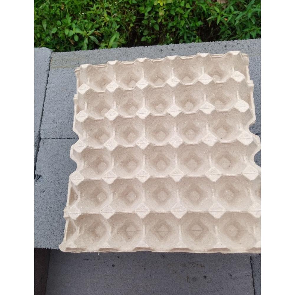 Bisa Cod Egg Tray Karton 30 Butir Telur Ayam/Bebek/Wadah Telur ||