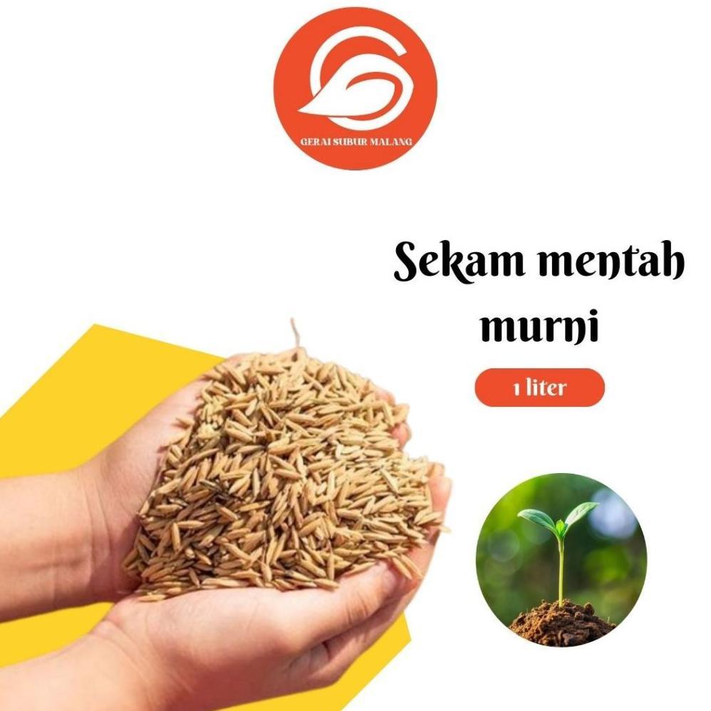 Promo Cod Gerai Subur Malang - Sekam Arang Bakar | Sekam Mentah Murni | Sekam Fermentasi | Kemasan 1