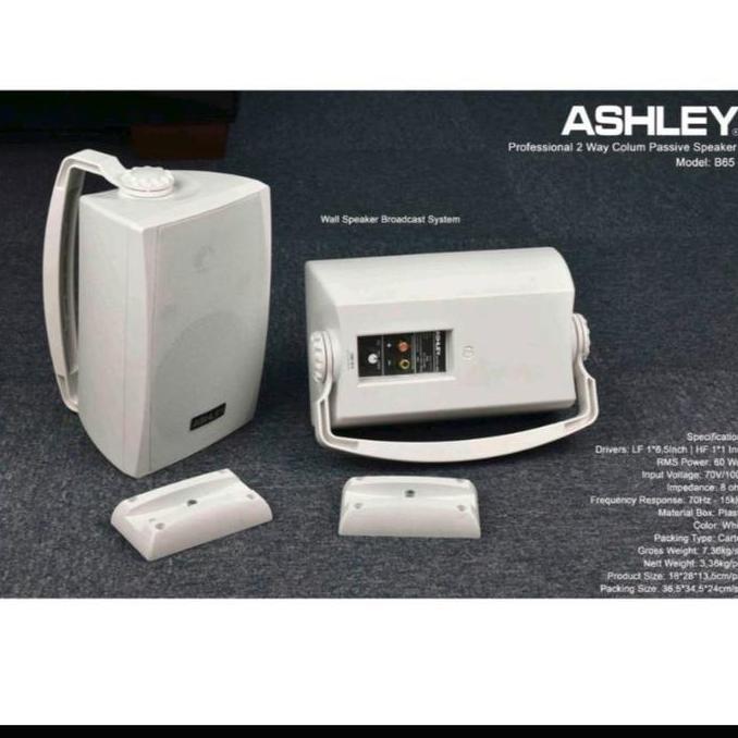 speaker pasif ashley b65 b 65 monitor