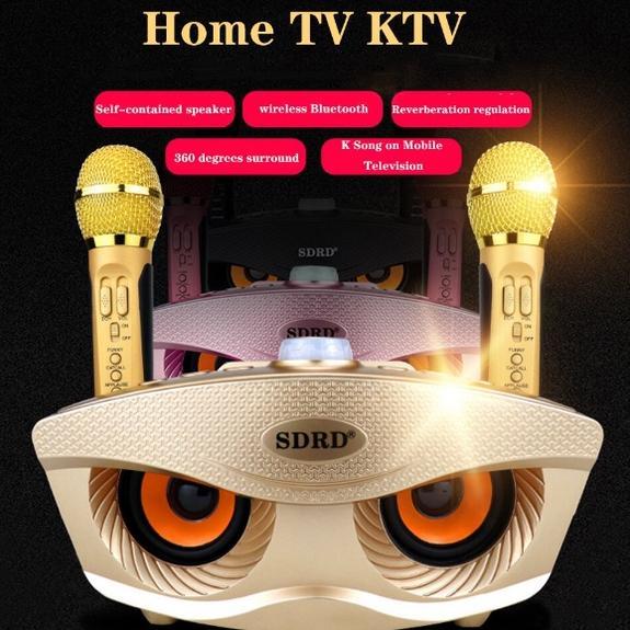 SDRD SD 306 SPEAKER KARAOKE BLUETOOH SDRD SD306 DENGAN 2 MICROPHONE WIRELESS
