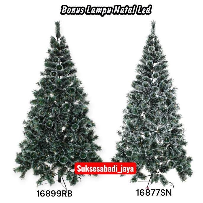 [SPECIAL LIVE] BEST SELLER POHON NATAL TERLARIS PINUS PINE ukuran 2FT/60CM - 12FT/3.6METER (POHON NA