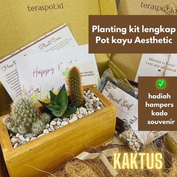 Hampers Planting Kit Kaktus Sukulen Pot Kayu Aesthetic + Figura - Gift