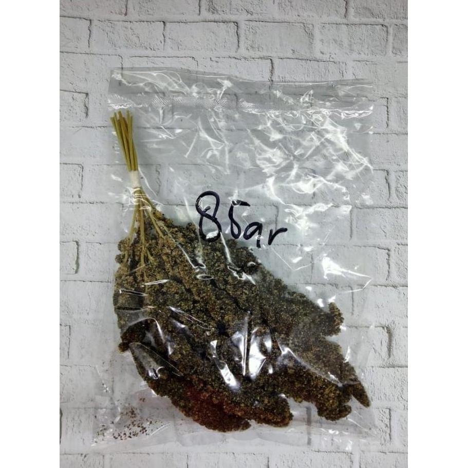 JAWAWUT HITAM TANGKAI 80 GRAM JUWAWUT JEWAWUT HITAM TANGKAI