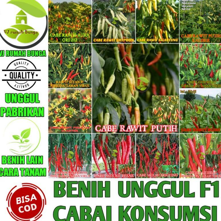 Promo Cod Benih Cabe Benih Bibit Cabai Rawit Konsumsi Benih Cabe Merah Besar Keriting Rawit Hijau 