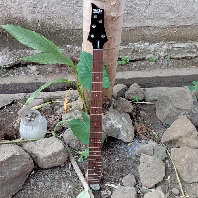 Neck Bass Schecter C-5 String