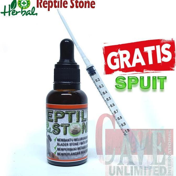 REPTILE STONE OBAT BLADDER STONE BS REPTILE KURA KURA SULCATA TORTOISE