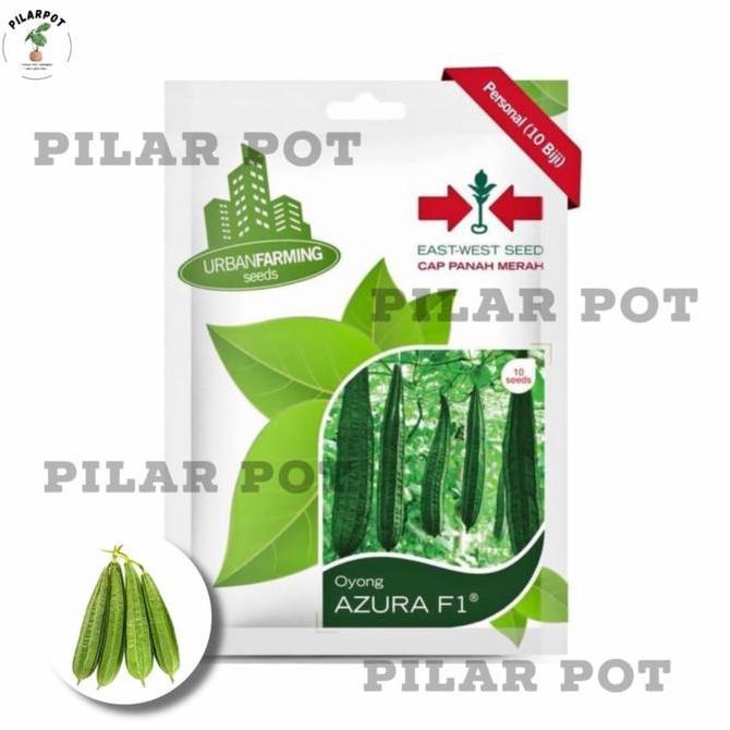 benih bibit oyong azura F1 cap panah merah - OYONG AZURA F1