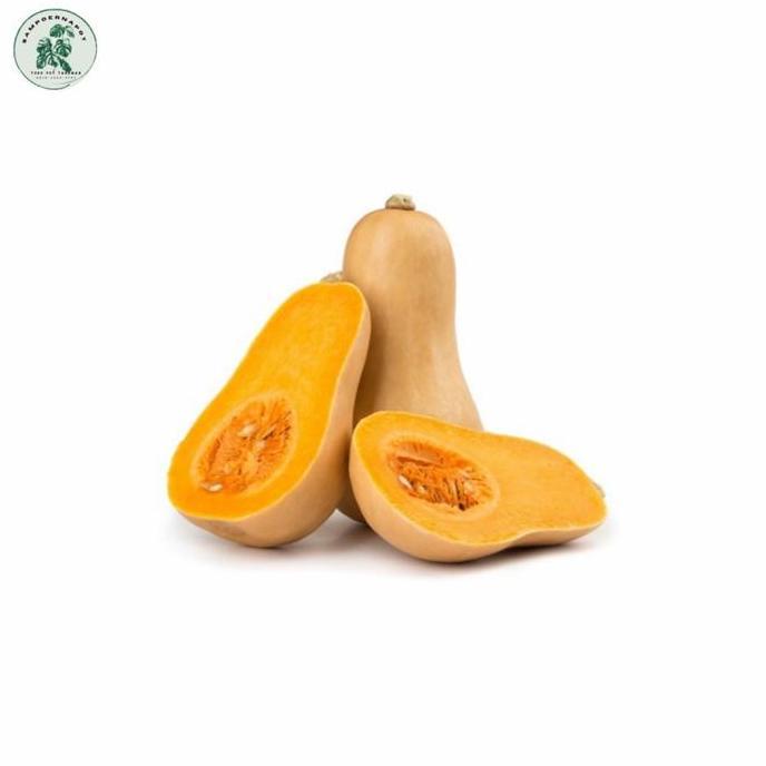 benih bibit labu madu f1 cap panah merah - LABU MADU F1