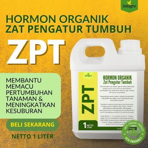 Pupuk ZPT Hormon Tanaman Anti Stress Daun Akar Batang Bunga Buah Organik / Pupuk ZPT Pemacu Tumbuh T