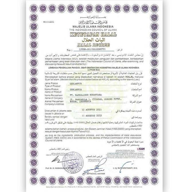 Ready stock Kapsul Curah GAMAT EMAS Anti Aging Kesuburuan Pria Kanker 100 capsul murah