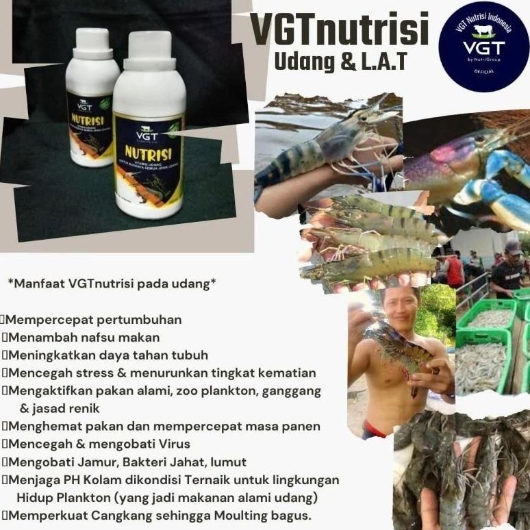 Vgt Udang 250 Ml Vgt Udang Tambak Probiotik Udang 250 Ml