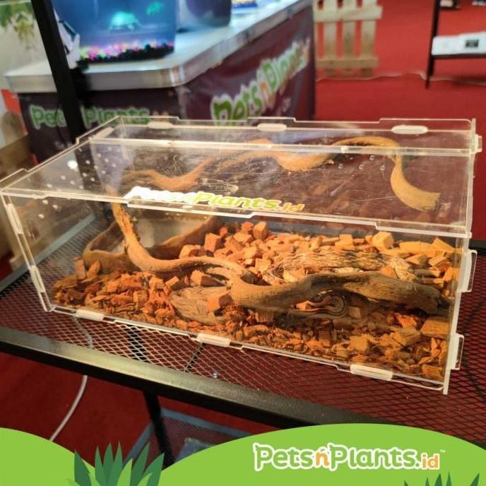 Acrylic Reptile Cage Box Kotak Reptil Vivarium Terarium Akrilik Import AME