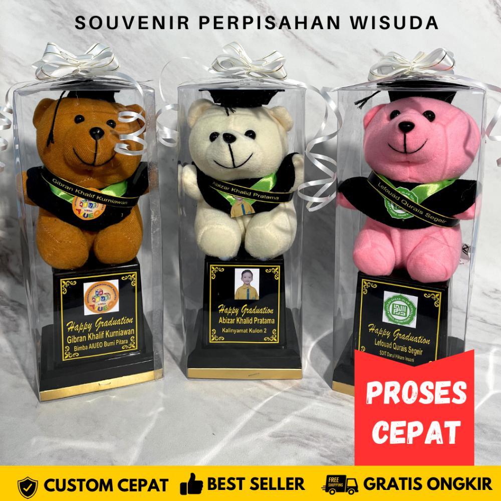Piala Boneka Wisuda Trophy Souvenir Perpisahan Sekolah Mika TK PAUD SD SMP Kado Hadiah Grosir Murah 