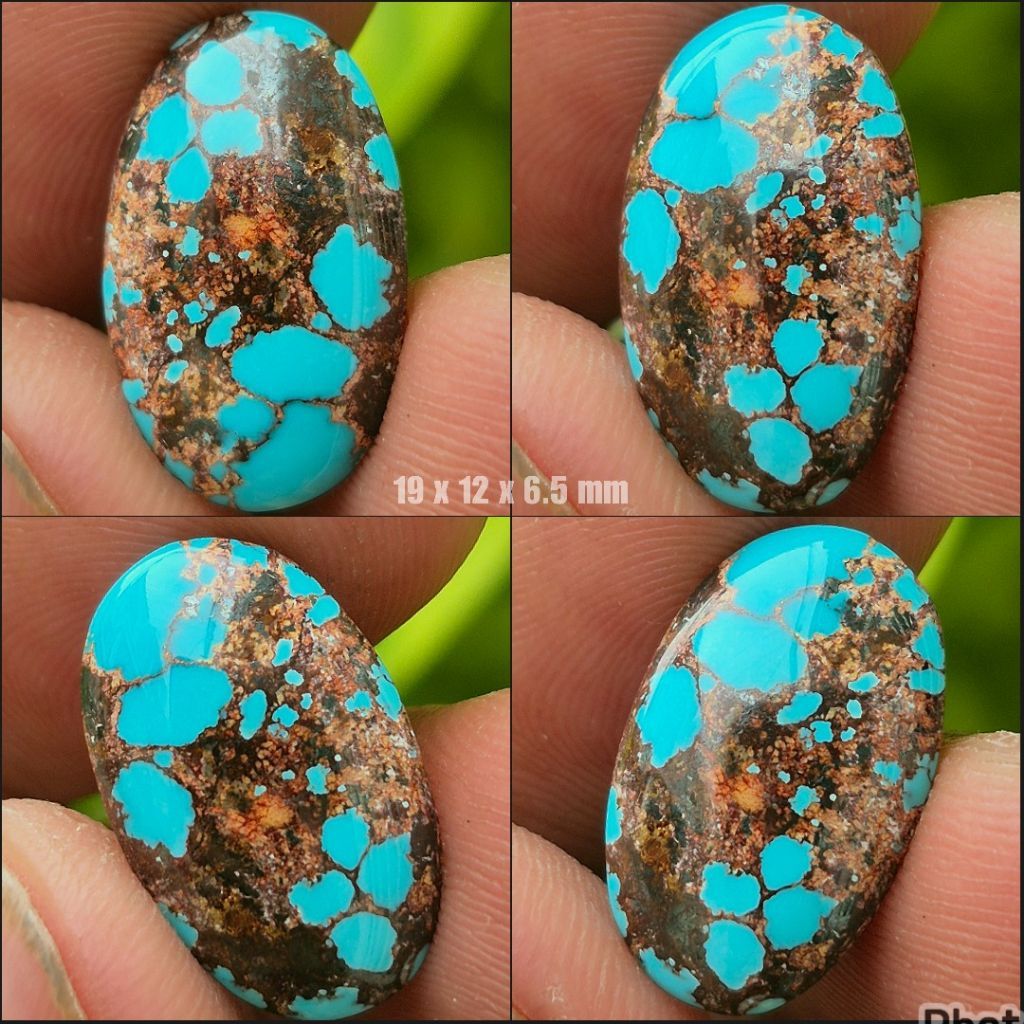 Pirus Persia Lawasab Biru Fancy Urat Merah Karakter Sakral