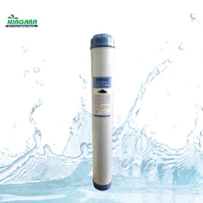 Filter air UDF X9 Carbon Filter 20in