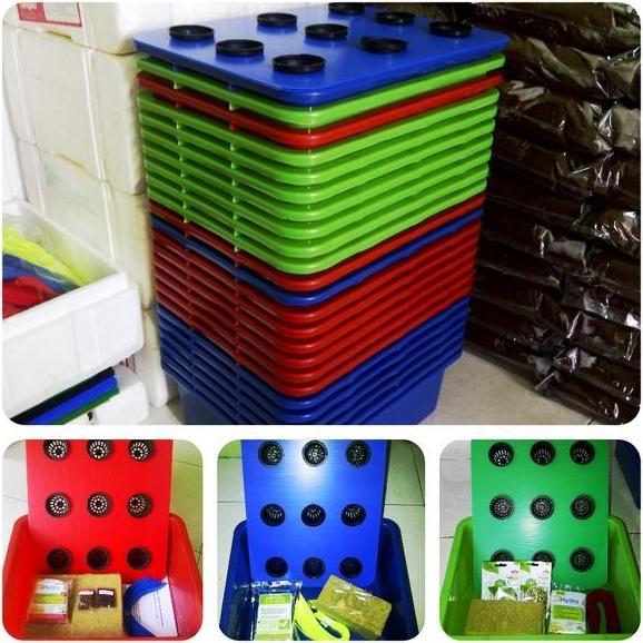 Paket Hidroponik Wick Starter Kit