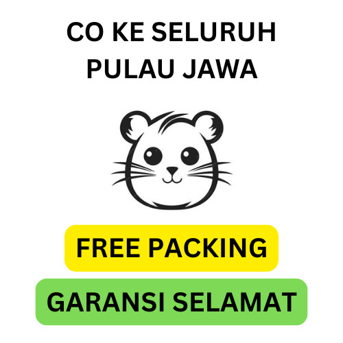 BOX HAMSTER CHAMBELL/WINTER WHITE/GOLDEN/ROBOROVSKI/SYRIAN SHORT&SYRIAN LONG (GARANSI)