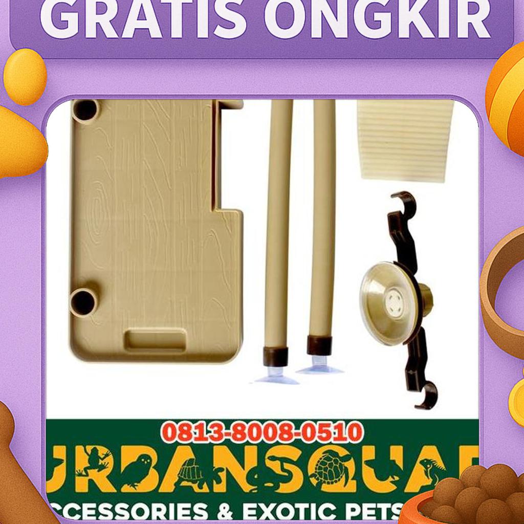 Nomoy Basking Turtle Nf-26 Kura Brazil Damer Dbt Diamond Back Stinkpot