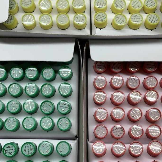 LAMPU BAYONET BOHLAM PILOT LAMP 220V ATAU 24V ISI 50 PER KTK