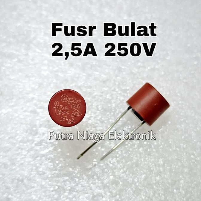 (5) Fuse Bulat 2,5A 250V Sikring Silinder Sekering PCB Board / T2,5A250V putran1a Segera Dapatkan