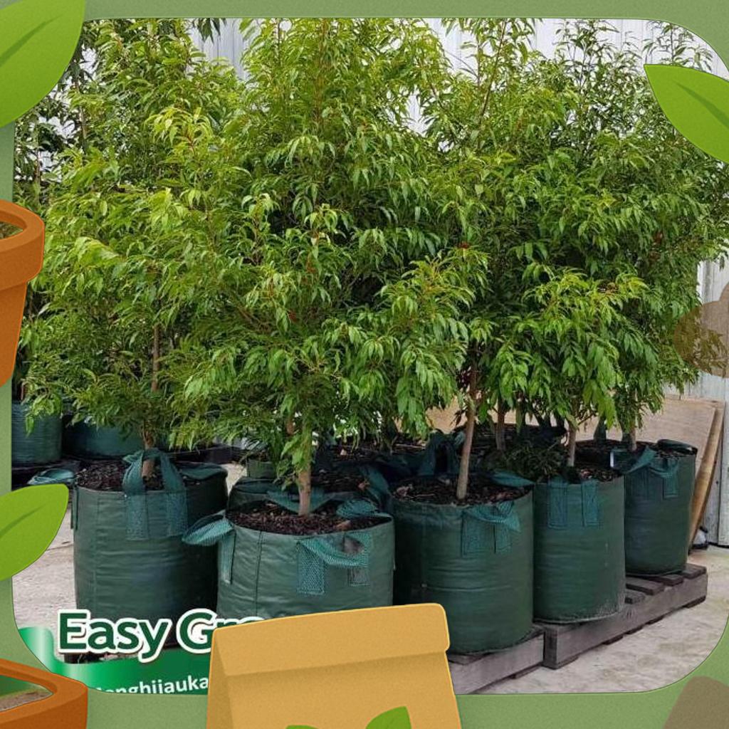 Planter Bag Easy Grow 100 Liter