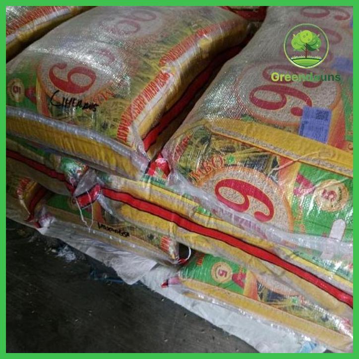 BENIH PADI SUPER JUMBO 99, VERITAS MEKONGGA 5 KG (ORIGINAL) TAMAN TANAMANA BIBIT PEKARANGAN HIASAN B