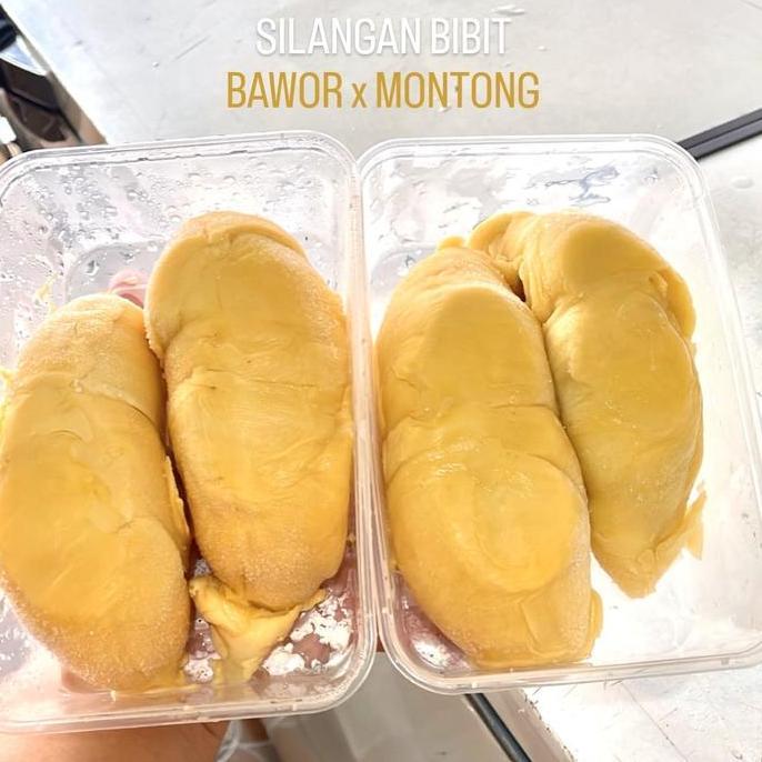 DURIAN BAWOR PREMIUM / DURIAN KING BAWOR KUPAS