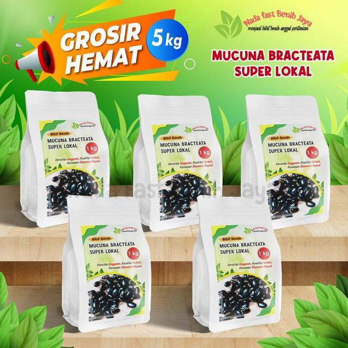 5 KG Bibit Mucuna/benih mucuna bracteata super lokal LCC MB LOKAL